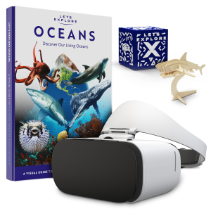 VR Headsets for STEM Education